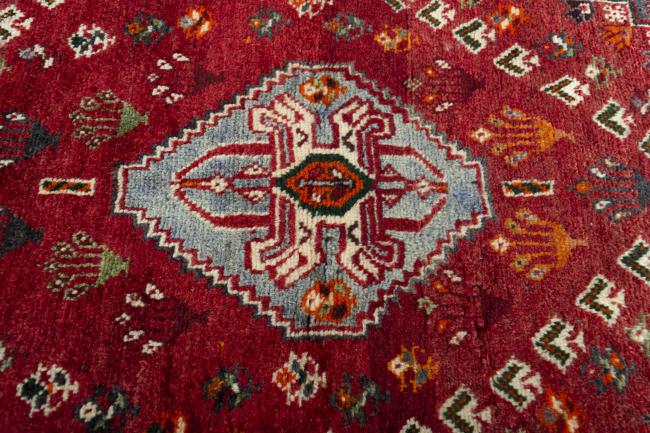 Shiraz - 5