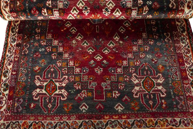 Shiraz - 8