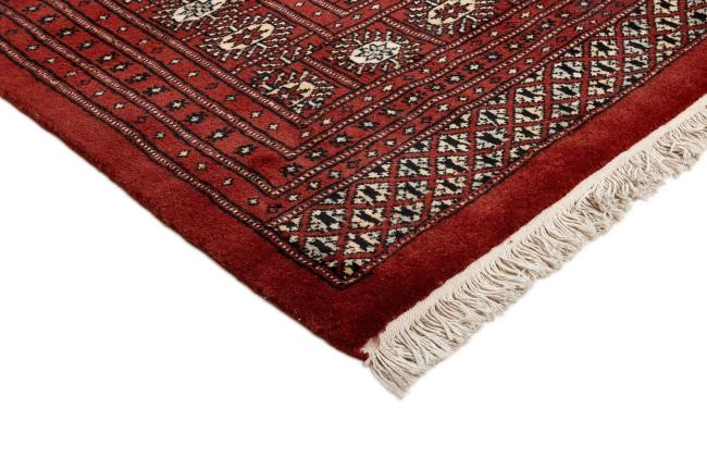 Pakistan Buchara 2ply - 3