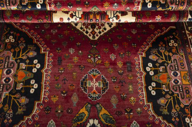 Shiraz - 8