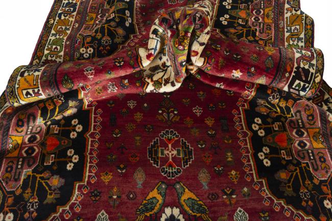 Shiraz - 9
