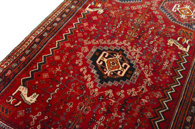 Shiraz - 4