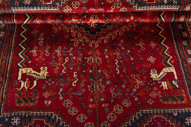 Shiraz - 8