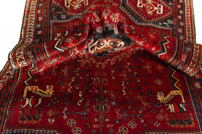 Shiraz - 9