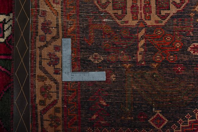 Shiraz - 10