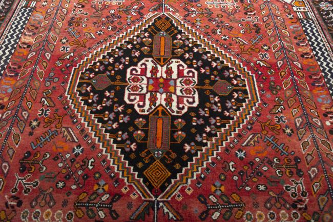 Shiraz - 8