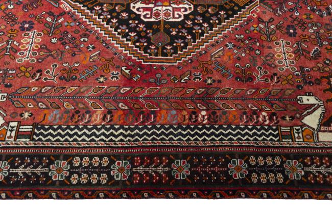 Shiraz - 11