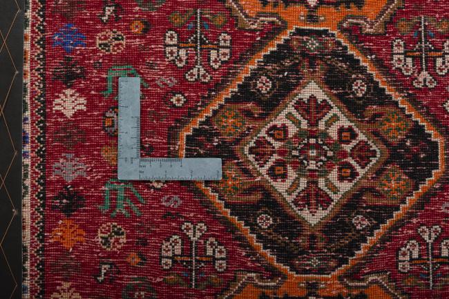 Shiraz - 4