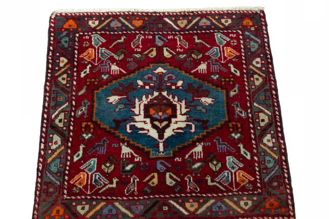 Shiraz - 3