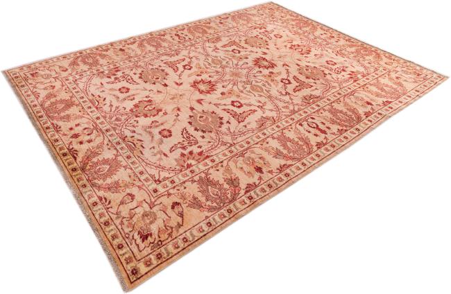 Ziegler Farahan - 2