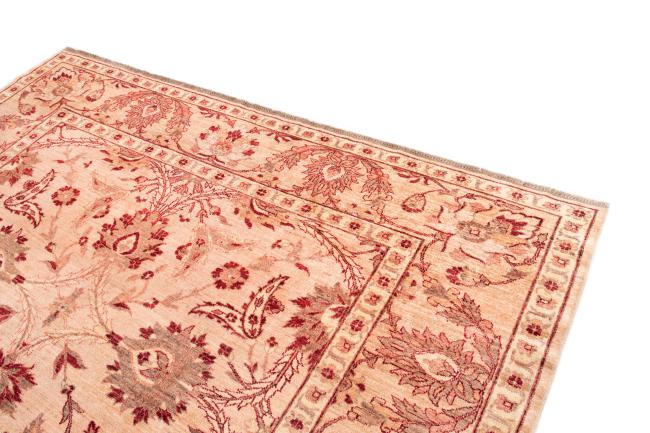 Ziegler Farahan - 3