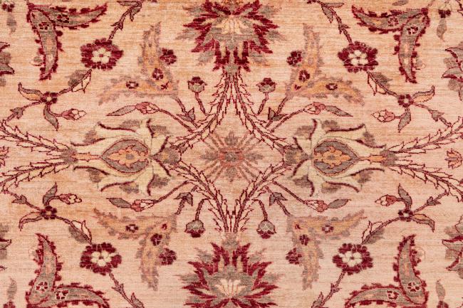 Ziegler Farahan - 8