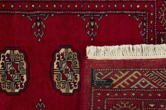 Pakistan Buchara 3ply - 1