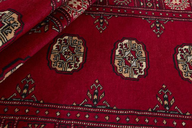 Pakistan Buchara 3ply - 2