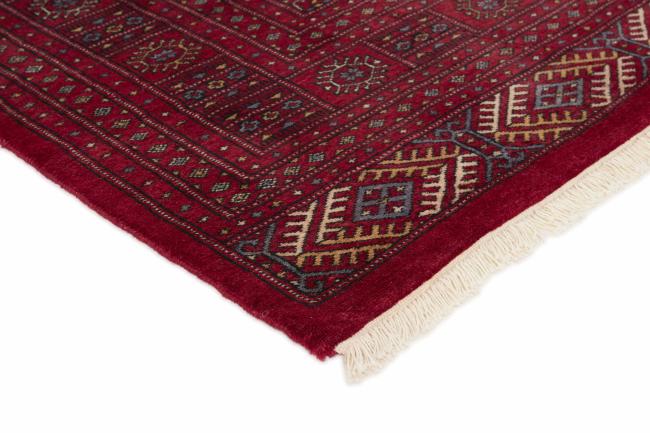 Pakistański Buchara 3ply - 3