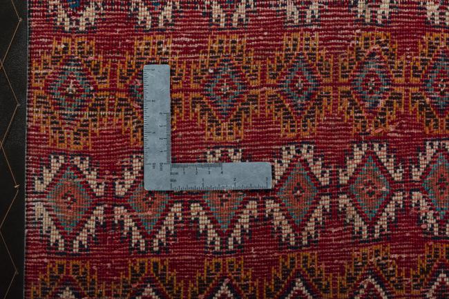 Shiraz - 4