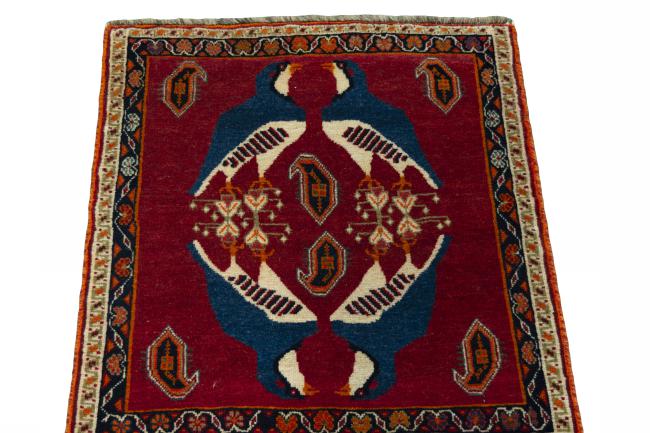 Shiraz - 3