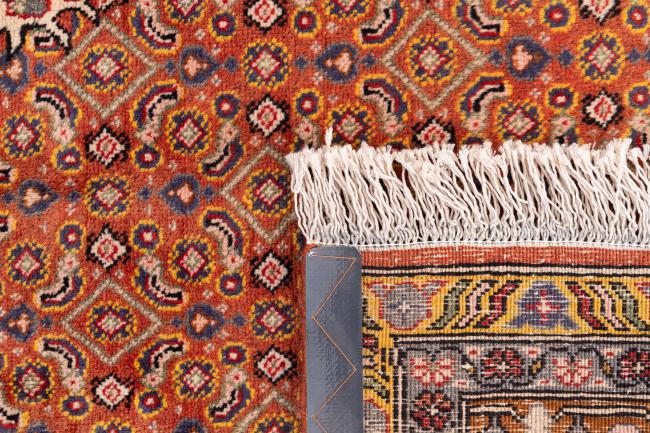 Tabriz - 6