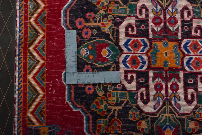 Shiraz - 4