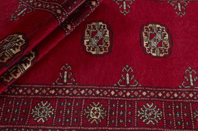 Pakistan Buchara 3ply - 2