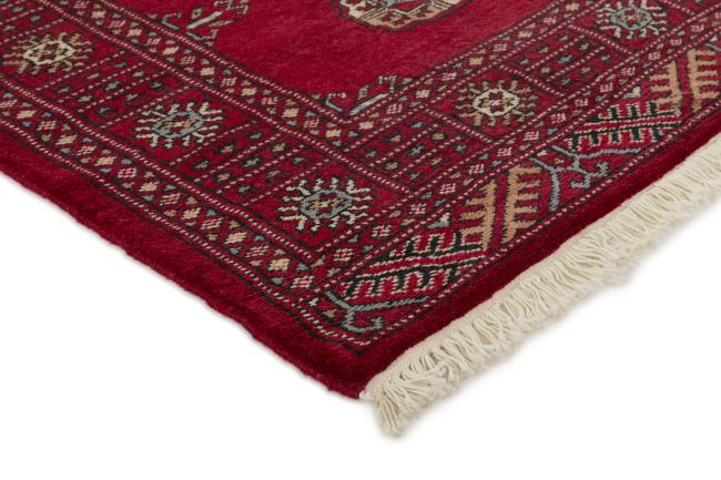 Pakistan Buchara 3ply - 3