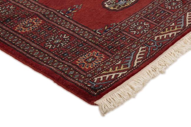 Pakistan Buchara 2ply - 3