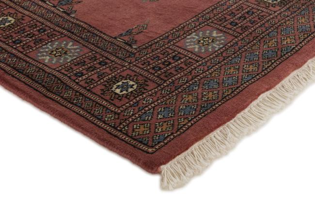 Pakistan Buchara 3ply - 3