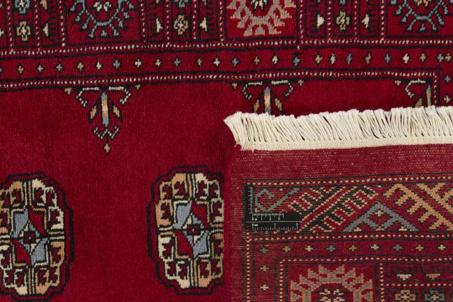 Pakistan Buchara 3ply - 1