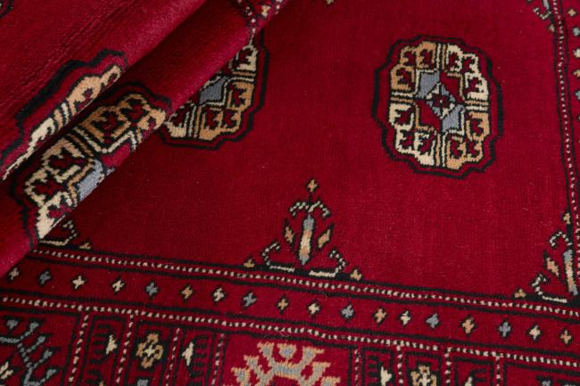 Pakistan Buchara 3ply - 2