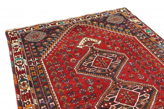 Shiraz - 3
