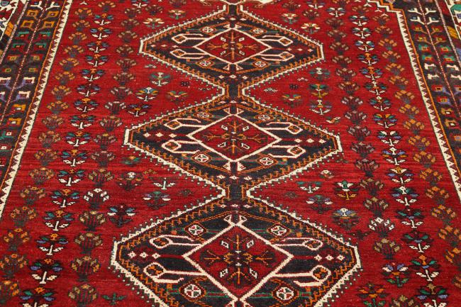 Shiraz - 4