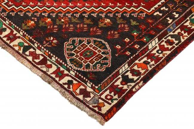 Shiraz - 5
