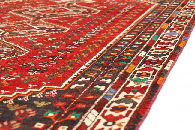 Shiraz - 6