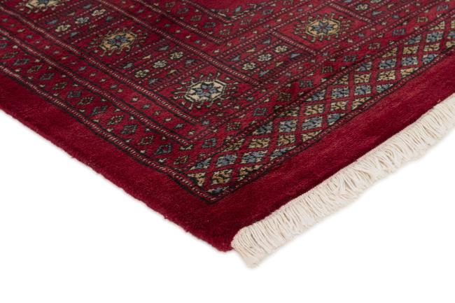 Pakistański Buchara 3ply - 3