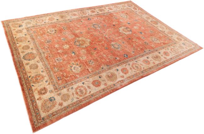 Ziegler Farahan - 1