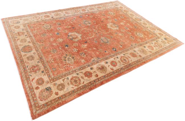 Ziegler Farahan - 2