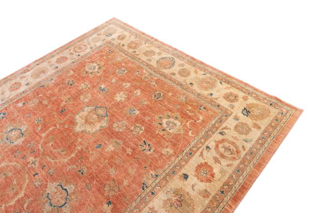 Ziegler Farahan - 3