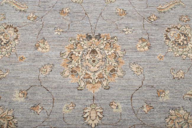 Ziegler Farahan - 4