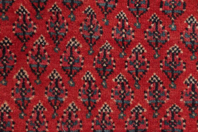 Sarough Mir Boteh - 5