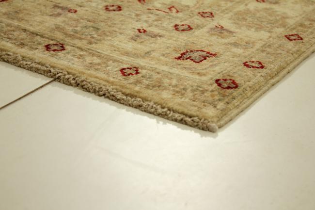 Ziegler Farahan - 3
