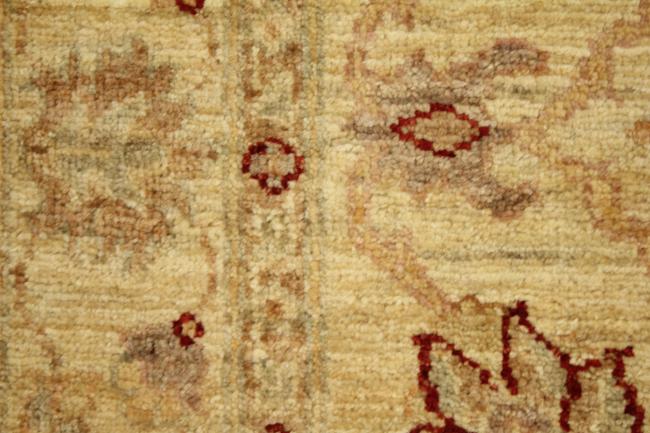 Ziegler Farahan - 8