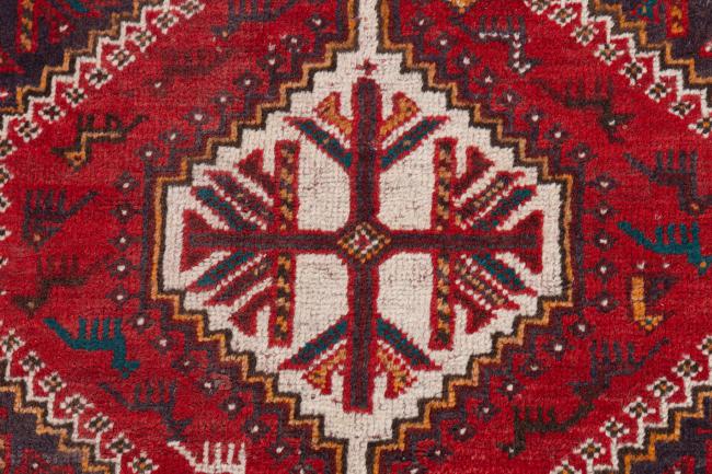 Shiraz - 6
