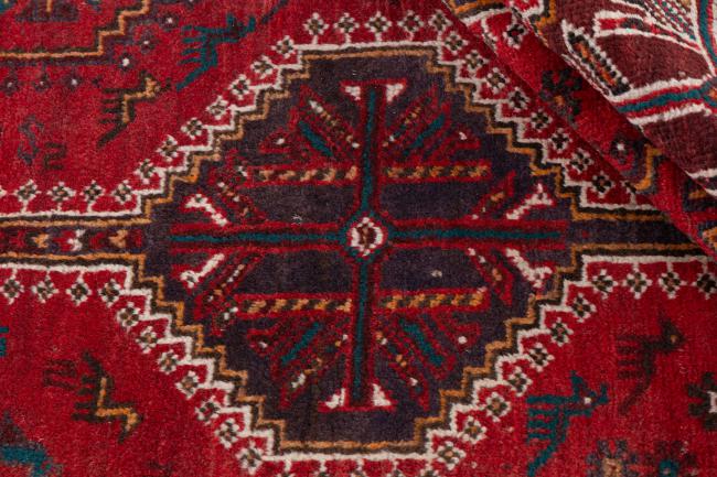 Shiraz - 8