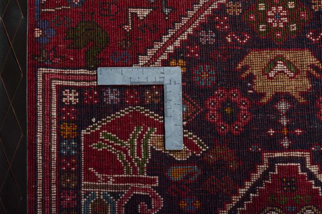 Shiraz - 8