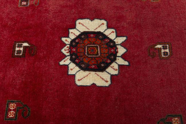 Shiraz - 5