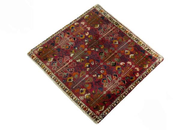 Shiraz - 1