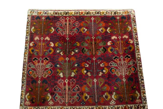 Shiraz - 3