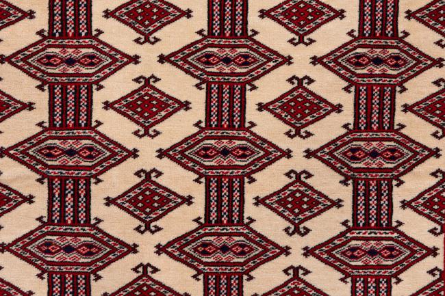 Turkaman Vieja Urdimbre de Seda - 7