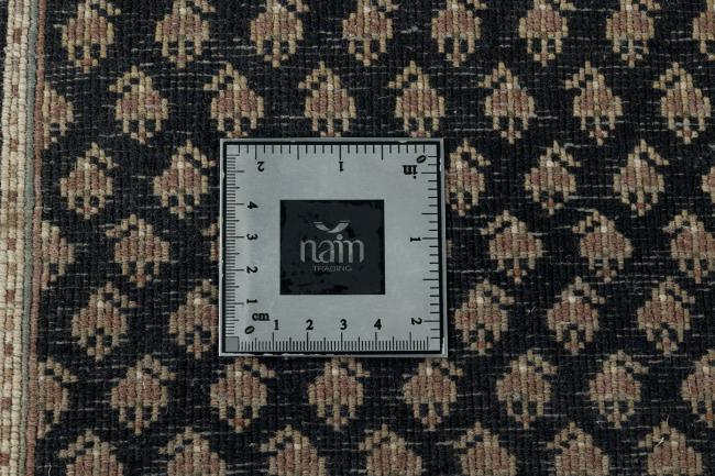 Indo Mir - 11