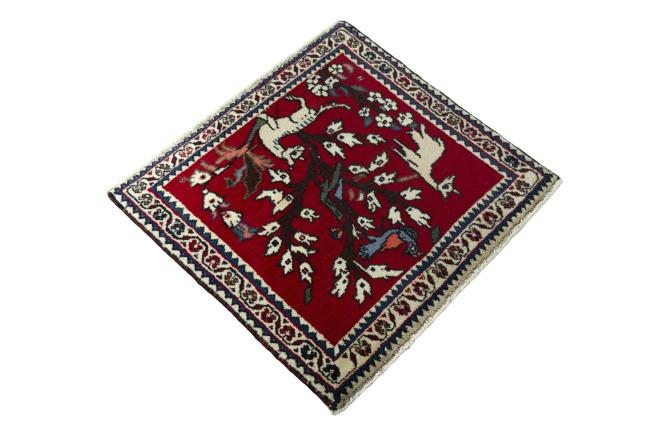 Shiraz - 2